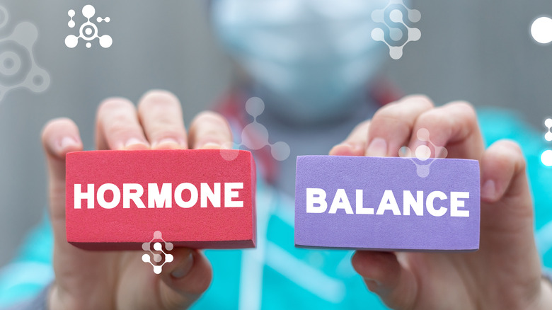 Doctor holding sponges that say "HORMONE BALANCE"