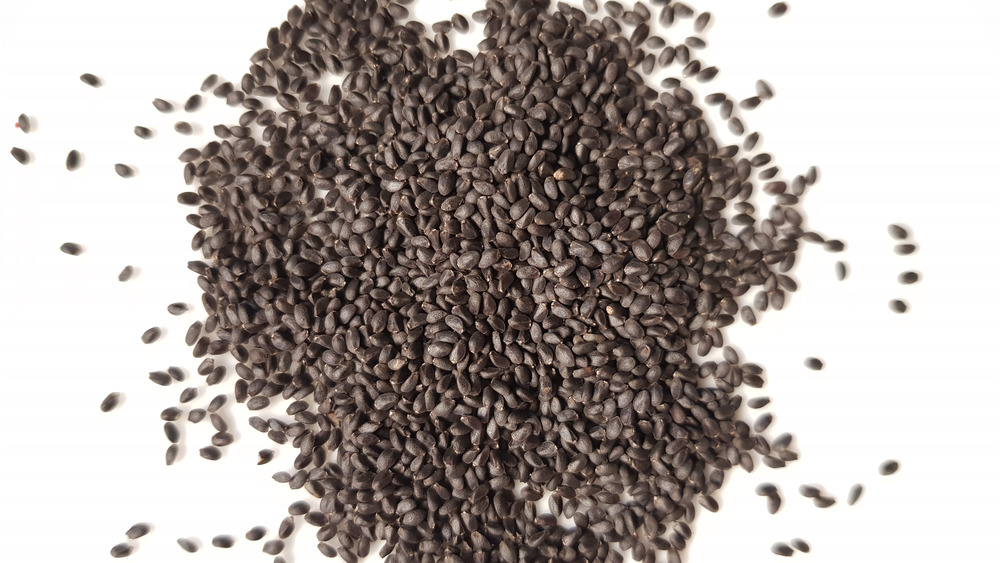 basil seeds with an all white background 