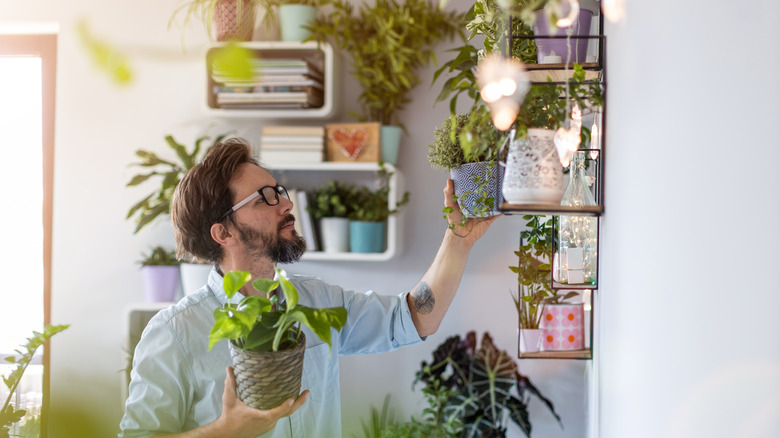 Man taking care of potted plants at home