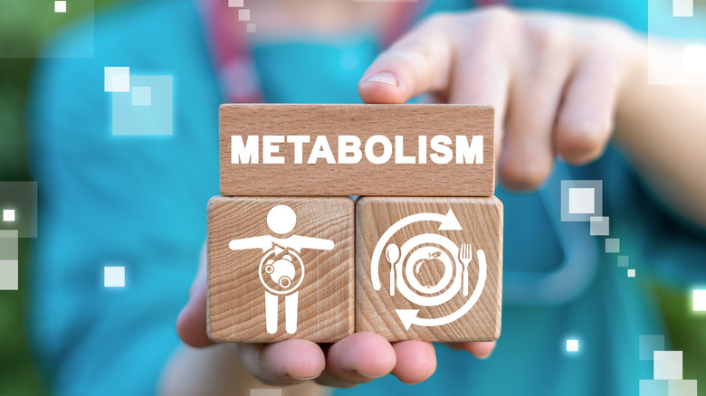 Hands holding 3 wooden blocks with the word "metabolism" and two accompanying images