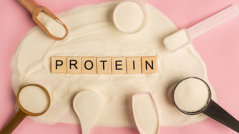 types of powdered protein 