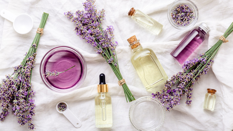 An assortment of lavender oils and plants