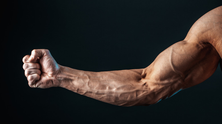 vascular arm post-workout