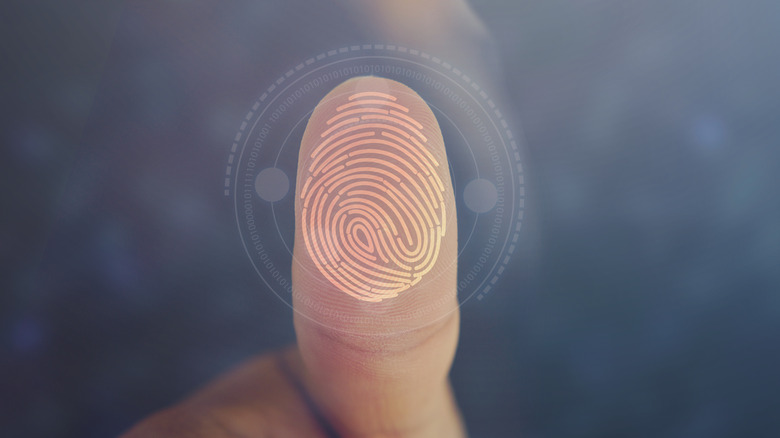 Thumb with a fingerprint