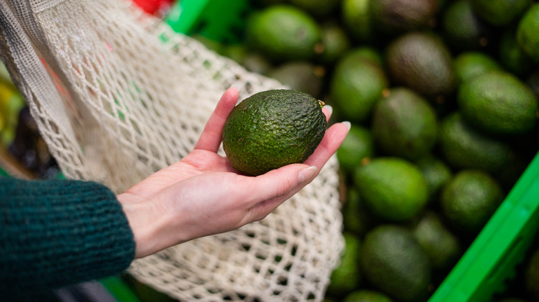 A person choosing avocados in the supermarket, holding an avocado in their hand