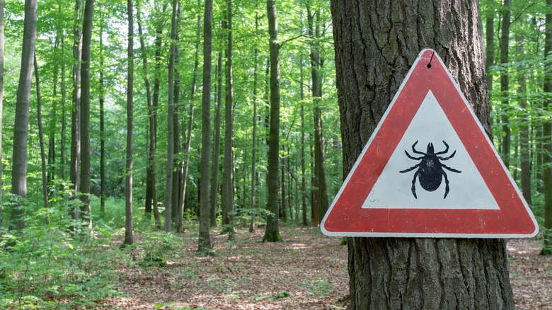 warning sign of ticks in a wooded area 