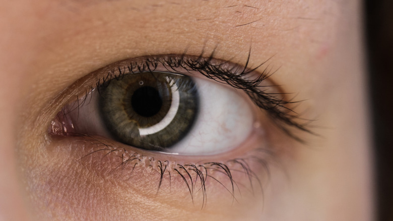 closeup of green eye