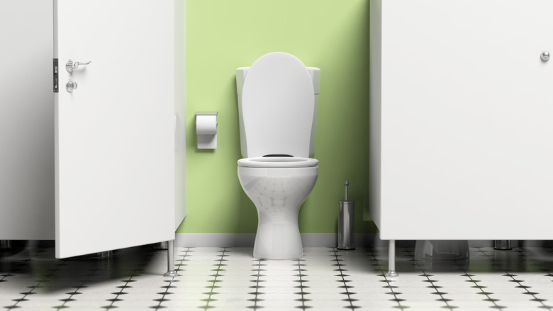 toilet green wall bathroom