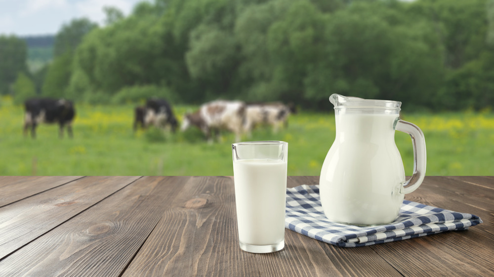 Jug and glass of milk on wooden table, cows in background